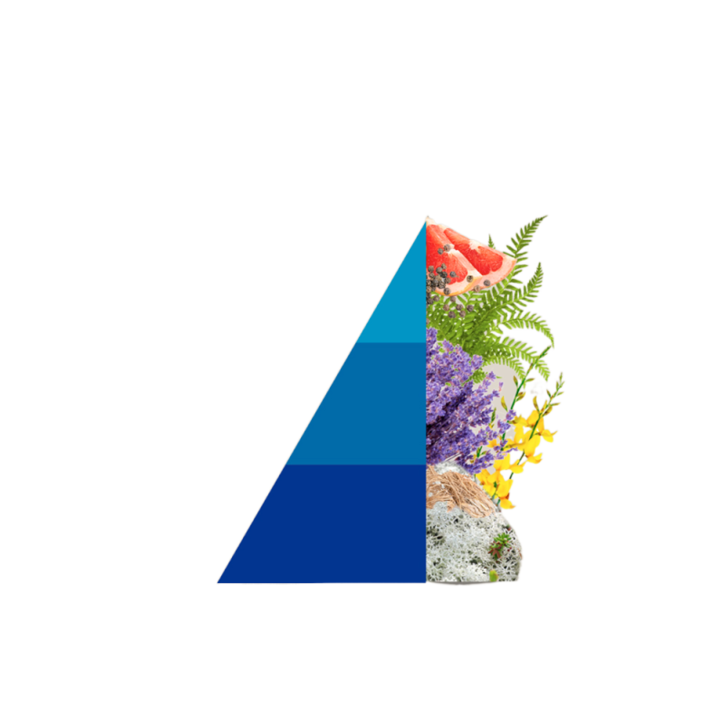 Refill geurstokjes fiori Blu; Afbeelding: 2