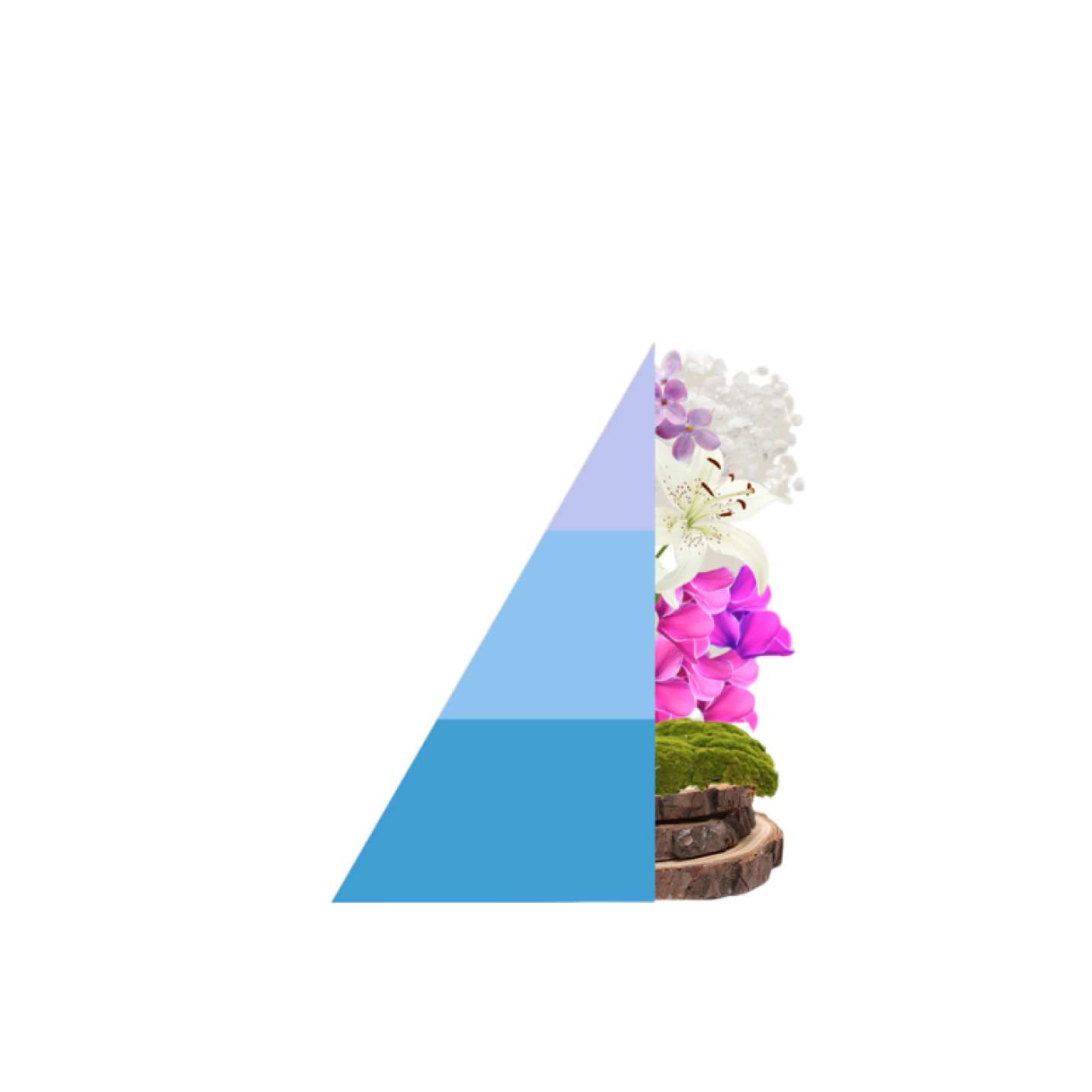 Geurstokjes Brezza Minerale; Afbeelding: 3