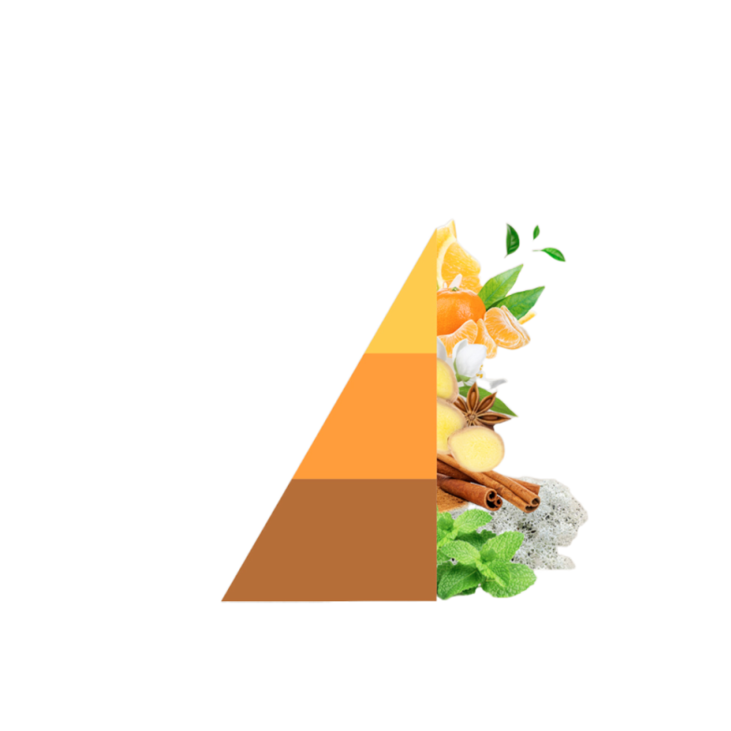 Geurstokjes Arancio e Cannella; Afbeelding: 3