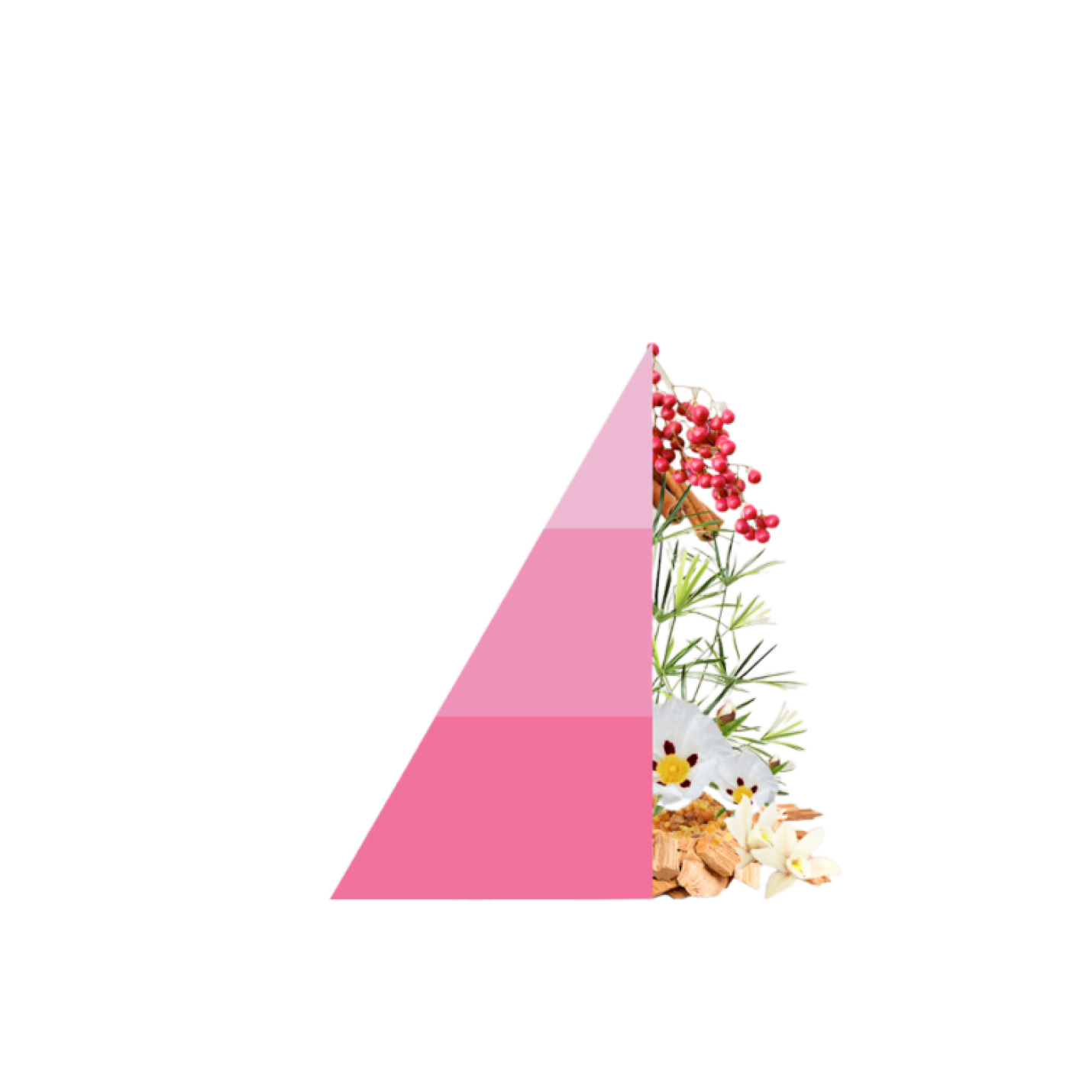 Refill geurstokjes Sandalo e Pepe Rosa; Afbeelding: 2