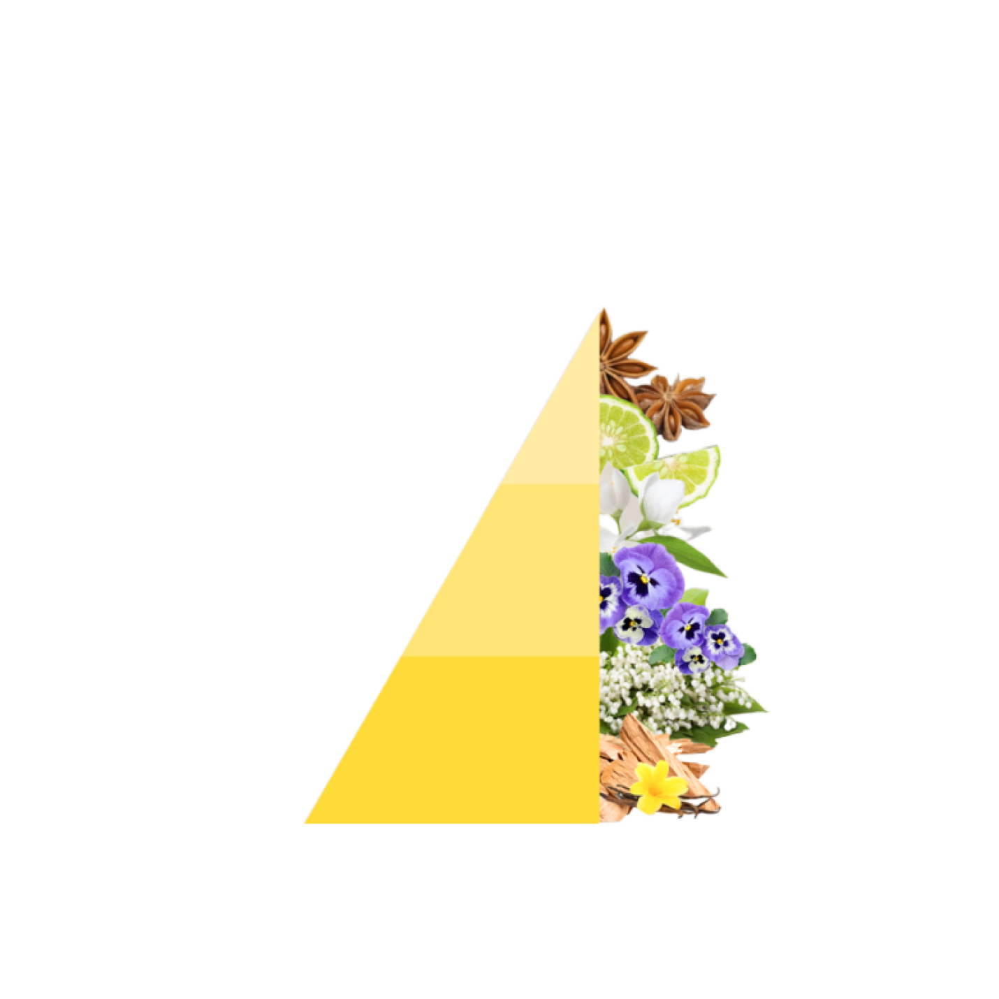 Roomspray Vaniglia e benzoino; Afbeelding: 2