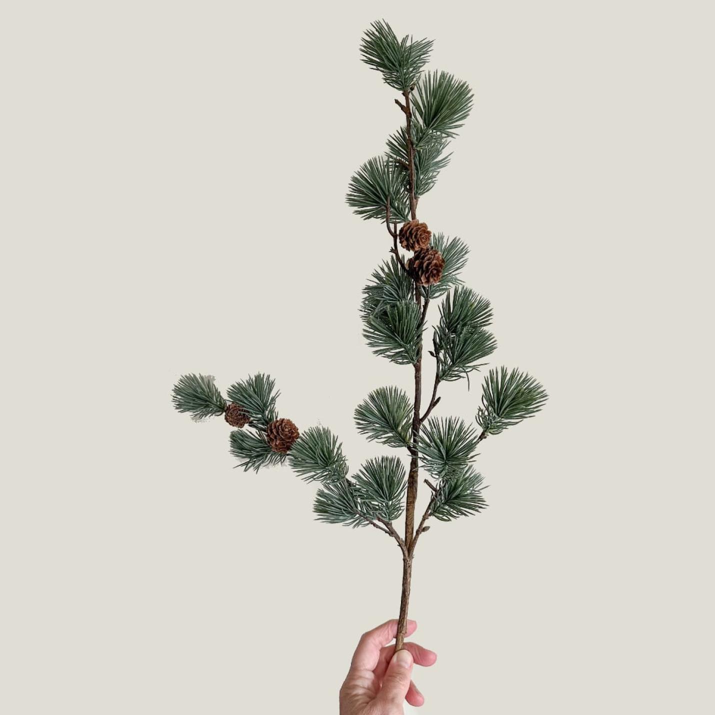 Kunst Pinus tak met dennenappels