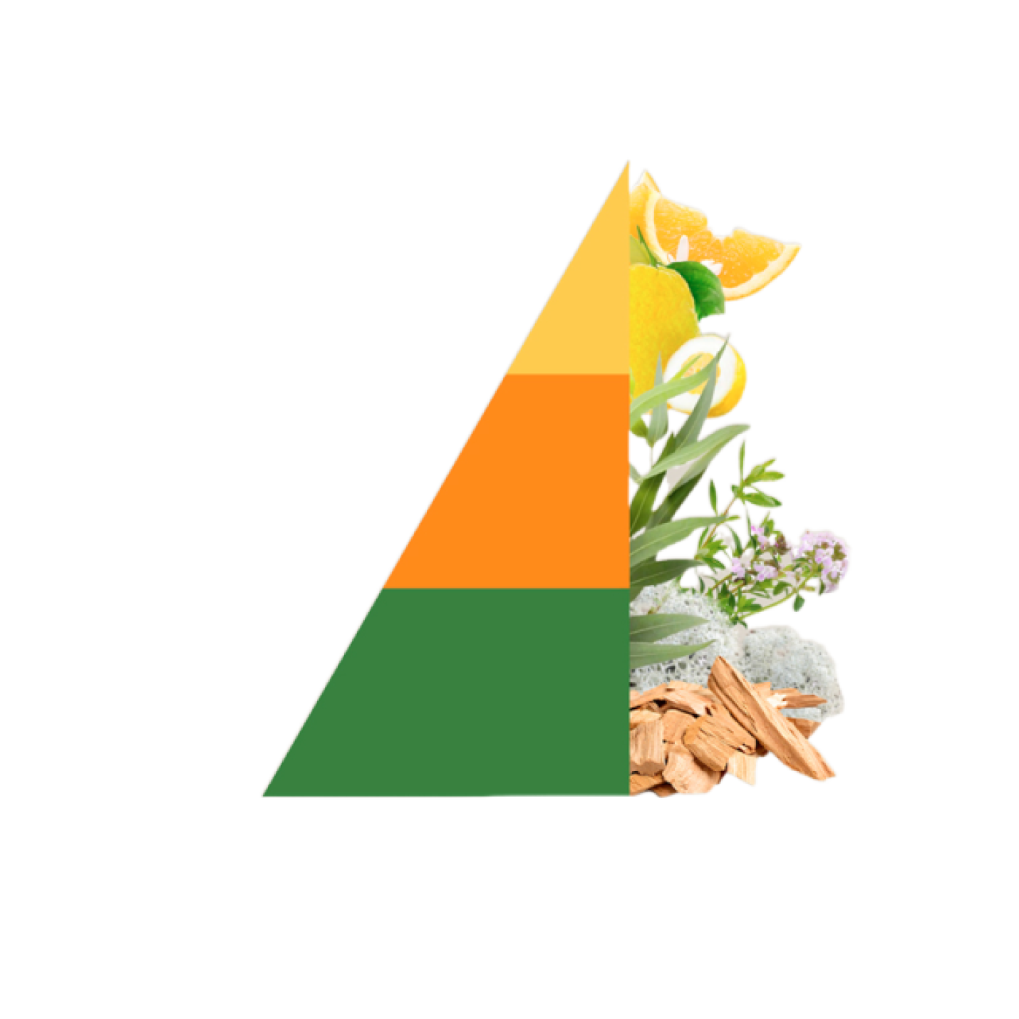 Refill geurstokjes All'Ombra degli Aranci; Afbeelding: 2