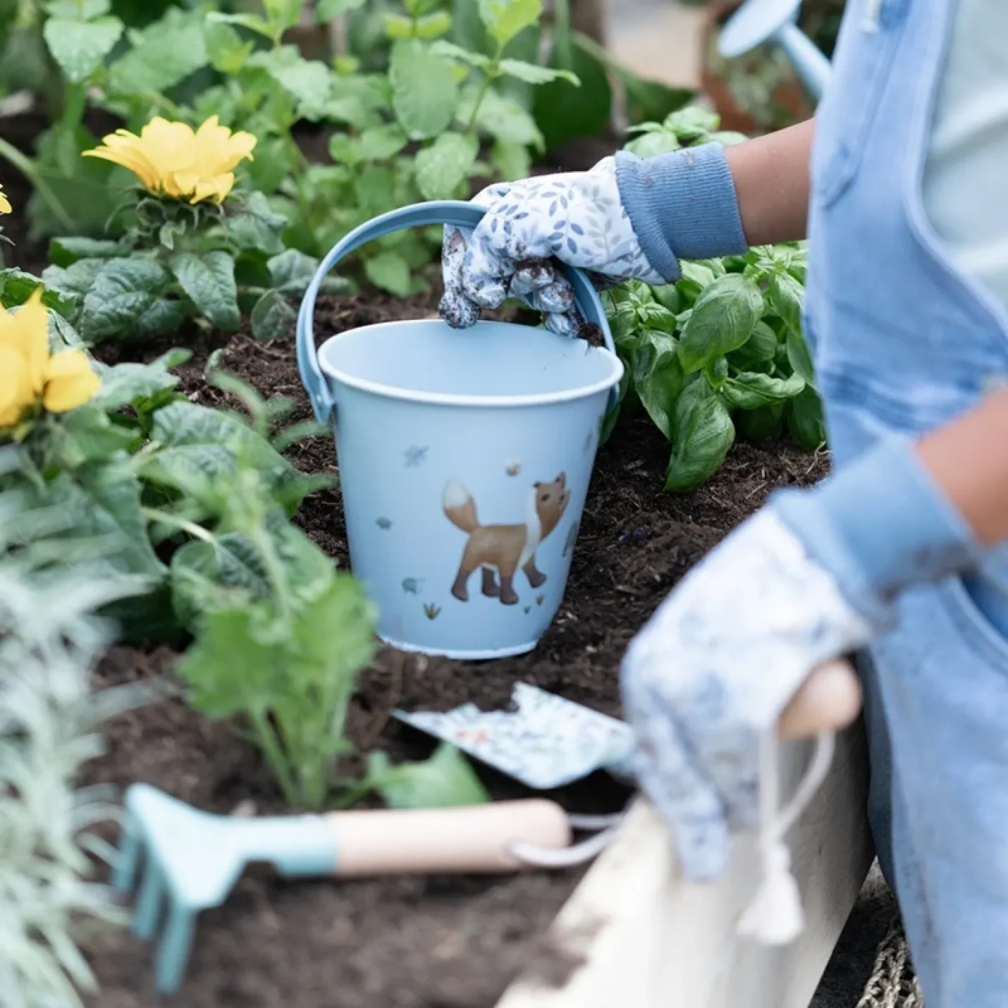 Emmer Forest Friends - Little Dutch; Afbeelding: 2