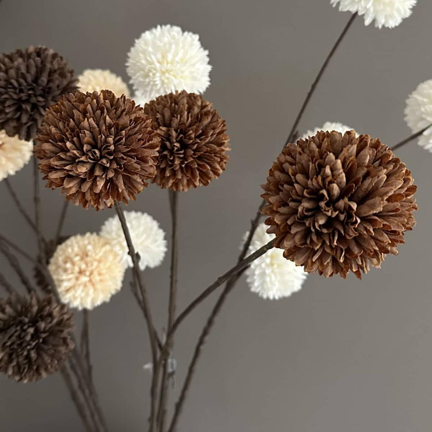 Zijdebloem Pompom tak M bruin; Afbeelding: 4