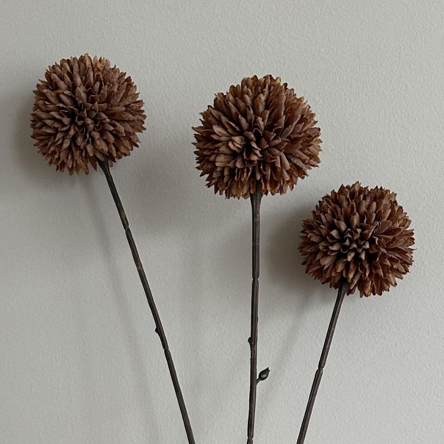 Zijdebloem Pompom tak M bruin; Afbeelding: 2