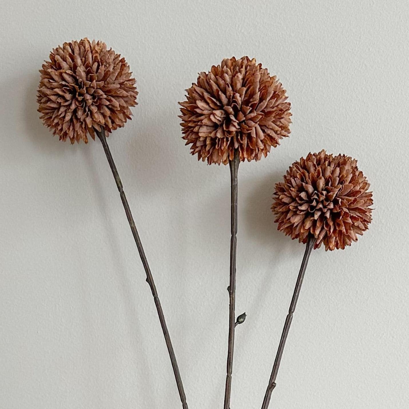 Zijdebloem Pompom tak M koffie; Afbeelding: 2