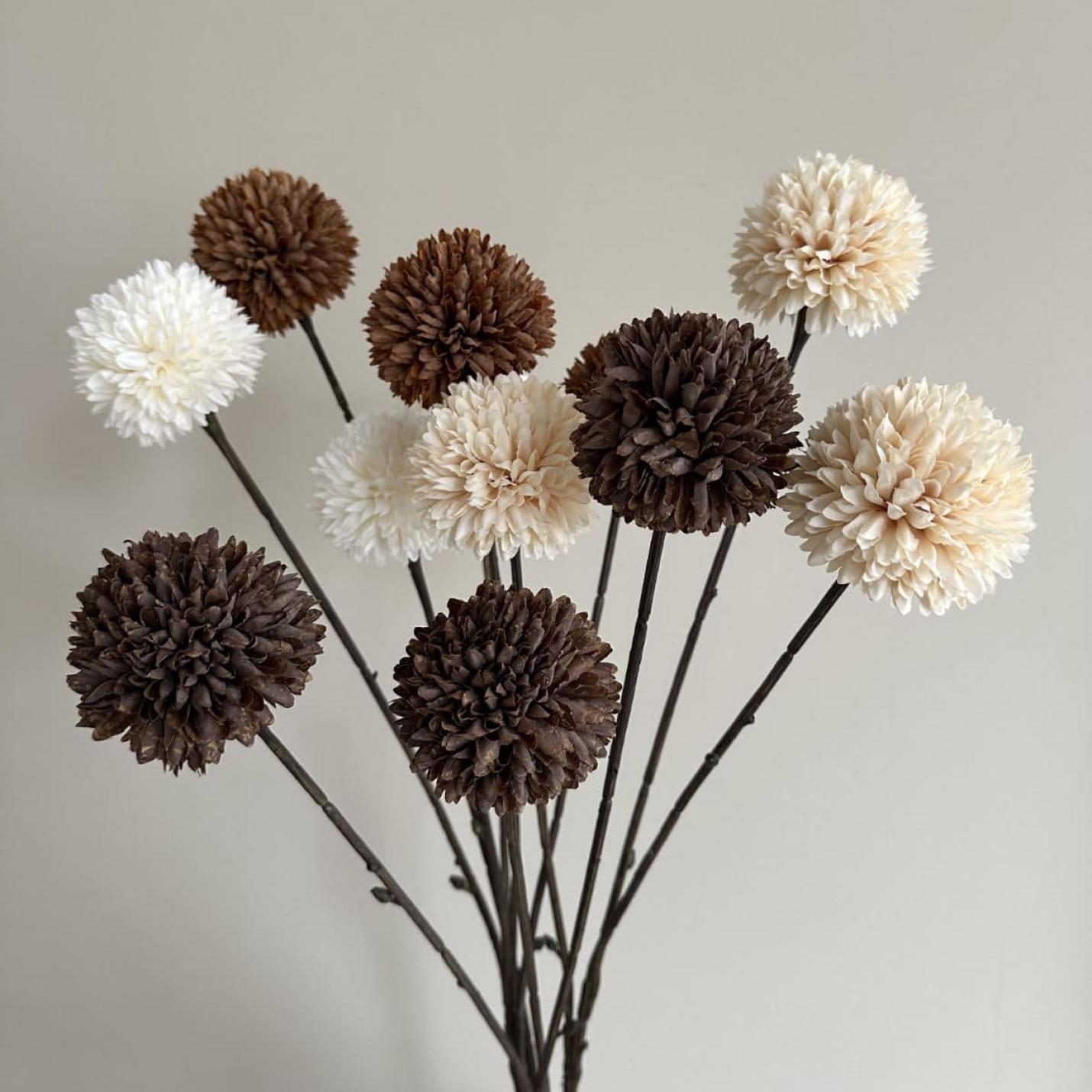 Zijdebloem Pompom tak M bruin; Afbeelding: 3