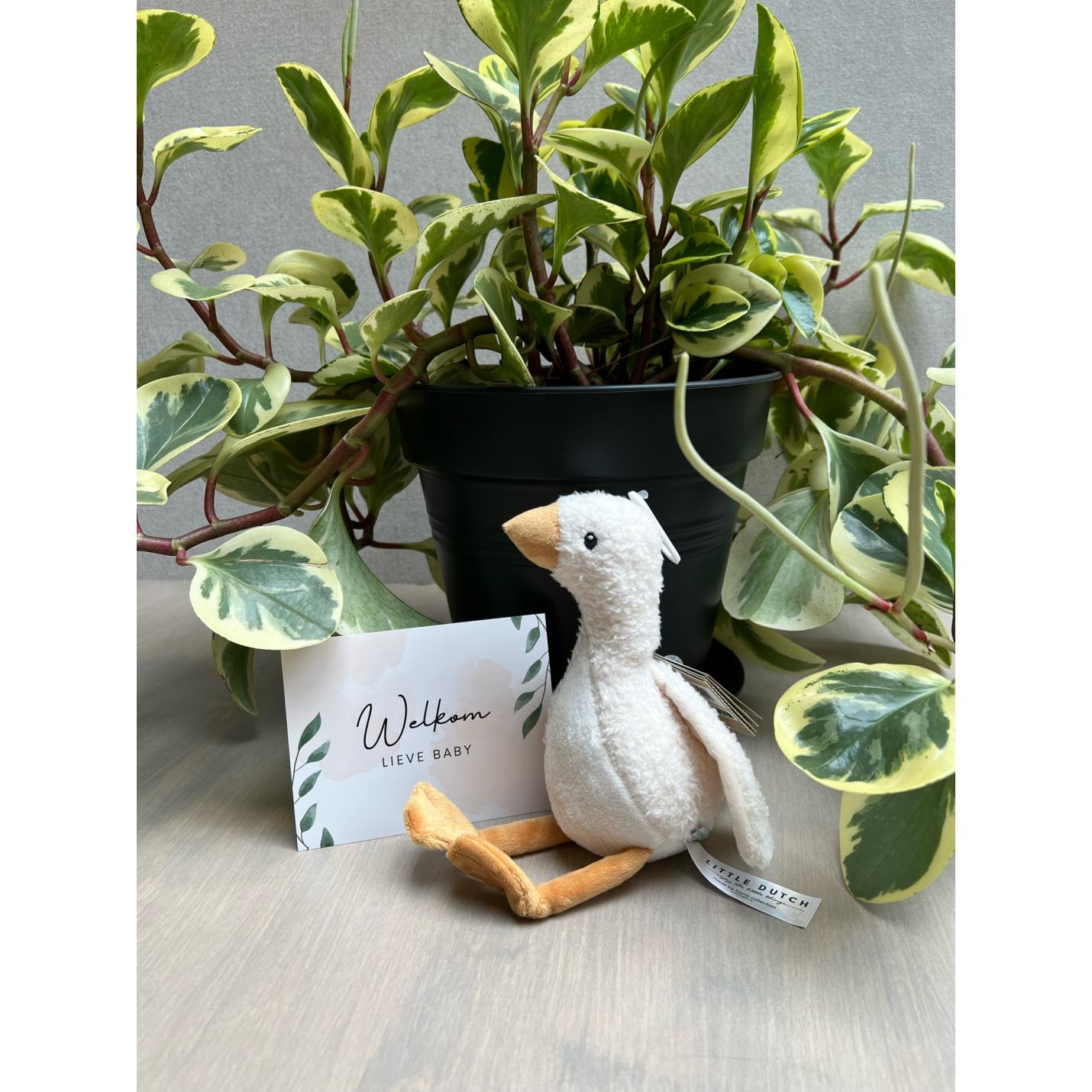 Knuffel gans | Little Dutch; Afbeelding: 2