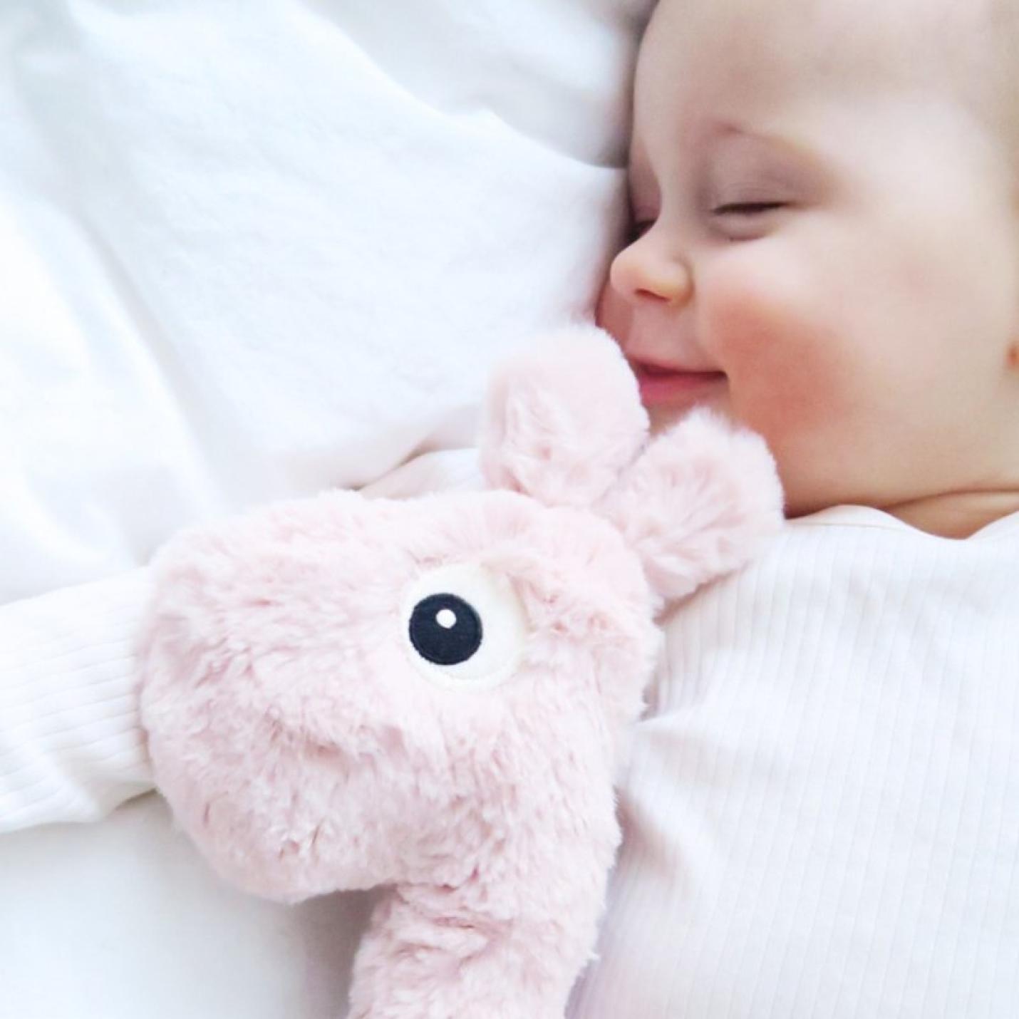 baby met pluche knuffel giraf van done by deer