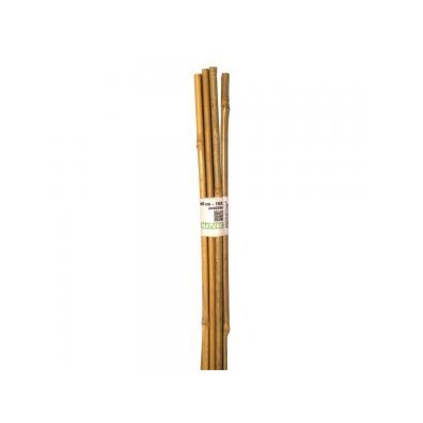 Bamboestok / tonkinstok 60 cm  set 10st.