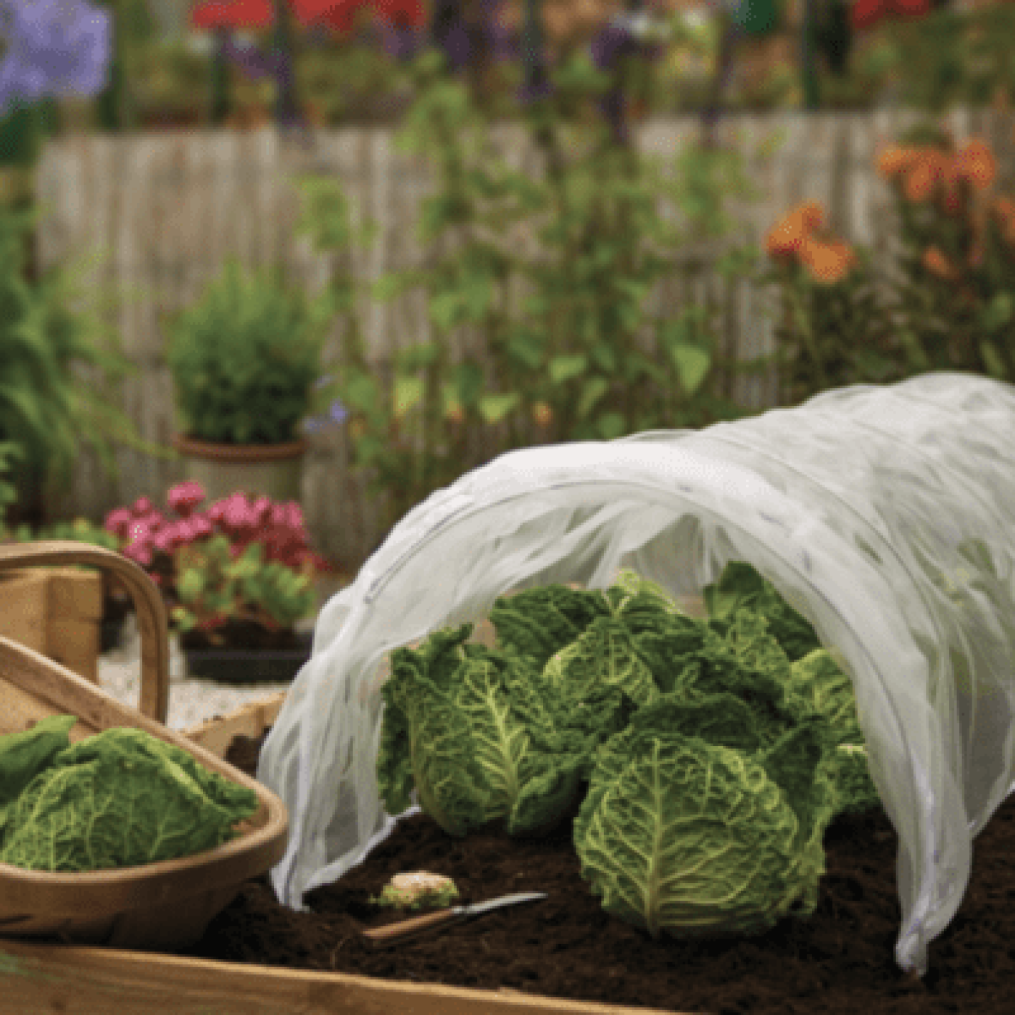 Grow-it Kweektunnel met insectengaas 310x50x40 cm 
