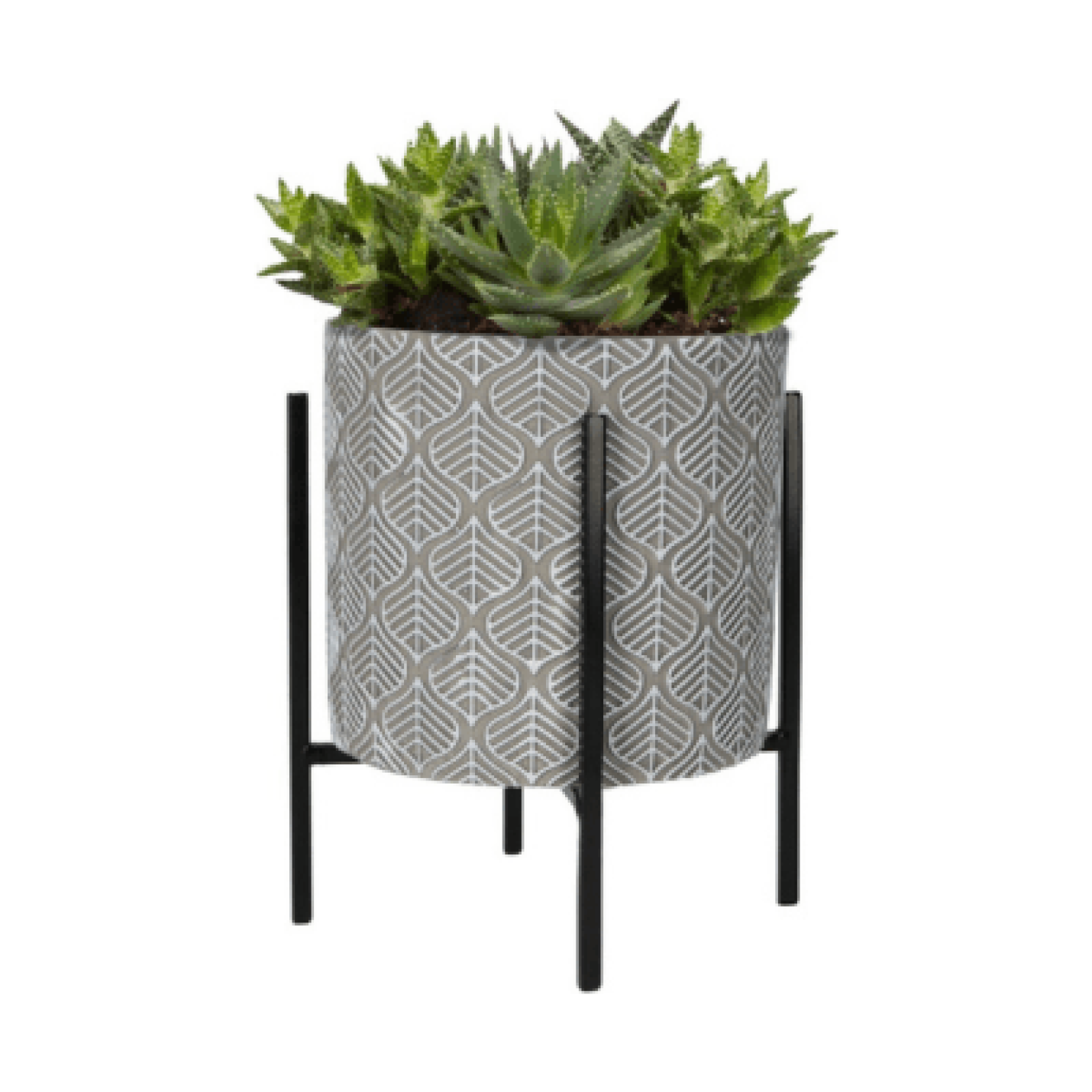 Buzzy® House Plants Plantpot in standaard met Aloe Vera zaden