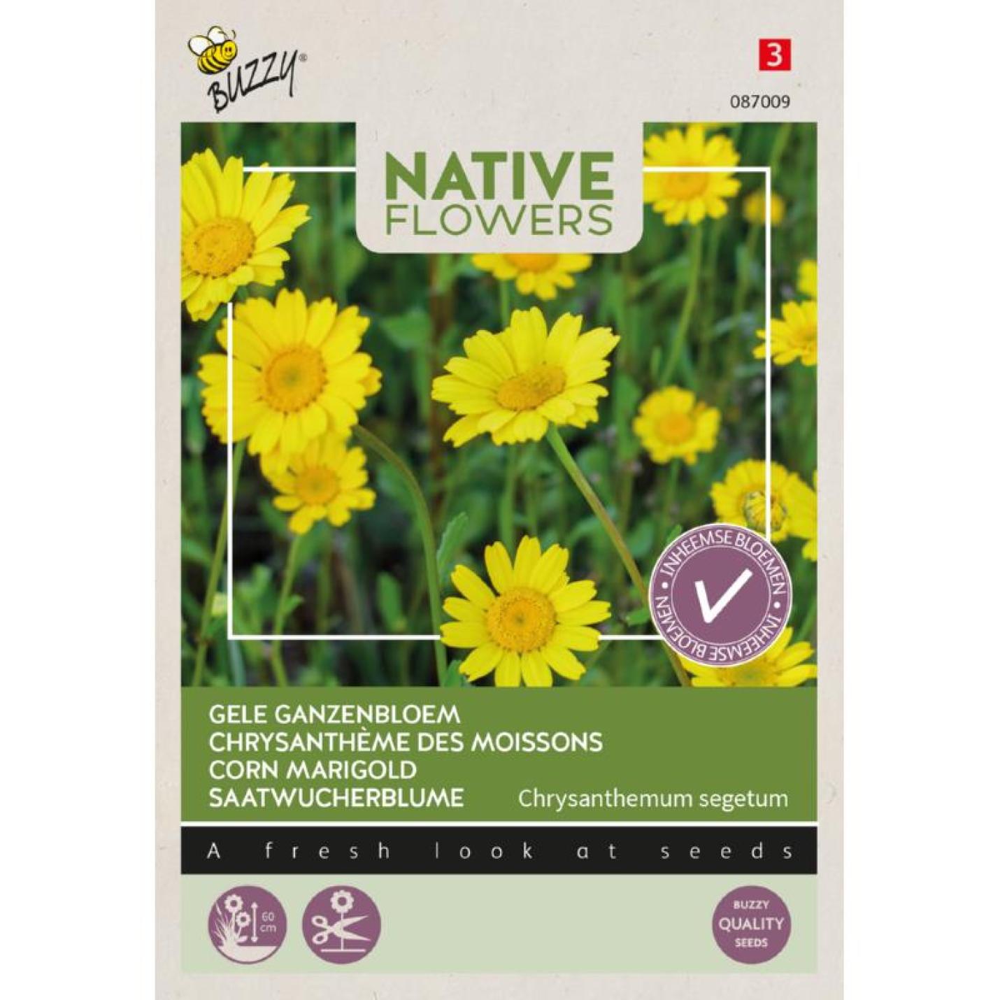 Buzzy Native Flowers Gele ganzenbloem Chrysanthemum segetum