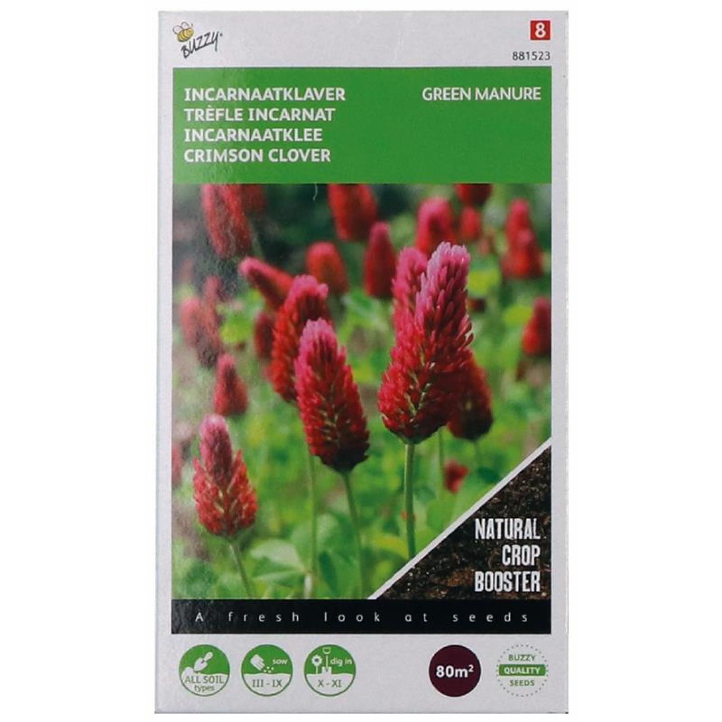 Buzzy® Groenbemester Incarnaatklaver 200g