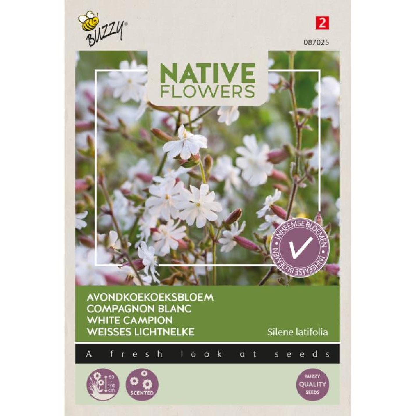 Buzzy® Native Flowers, Avondkoekoeksbloem