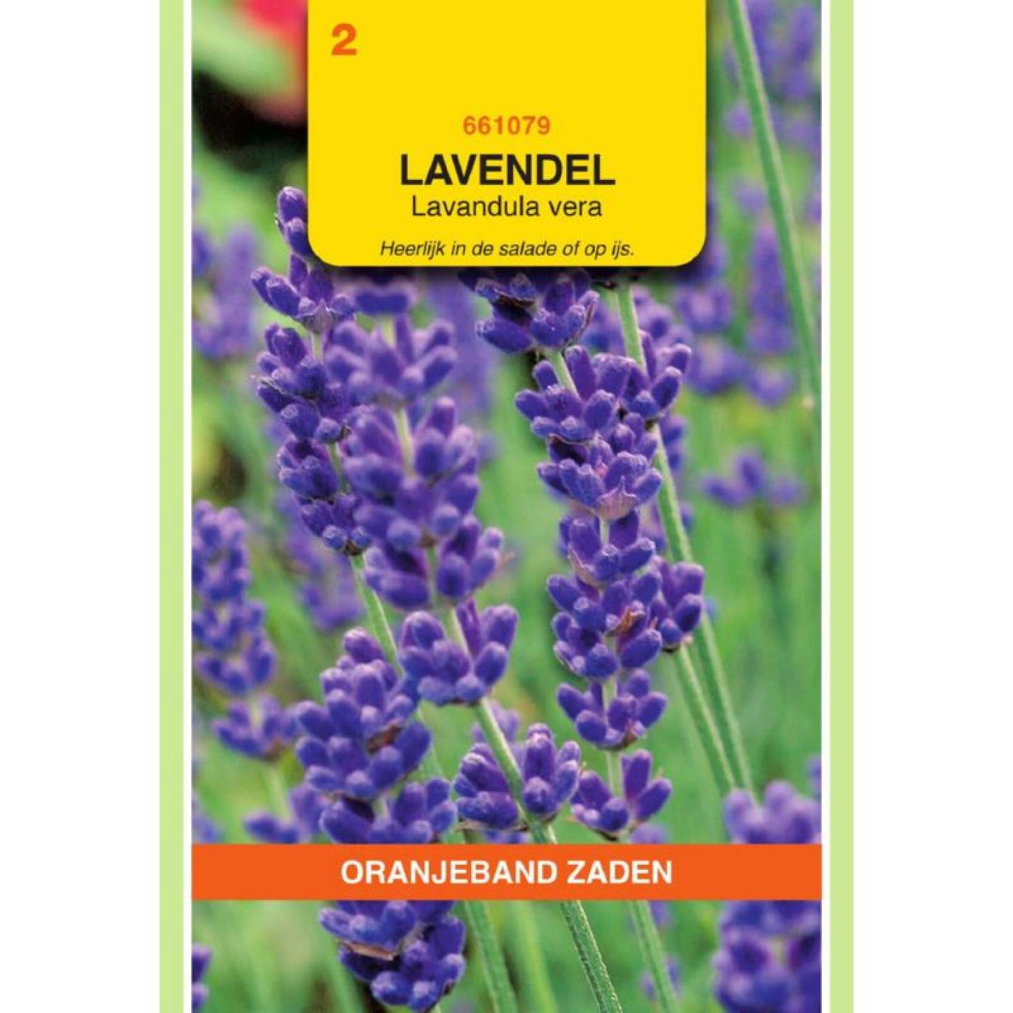 Oranjeband Lavendel
