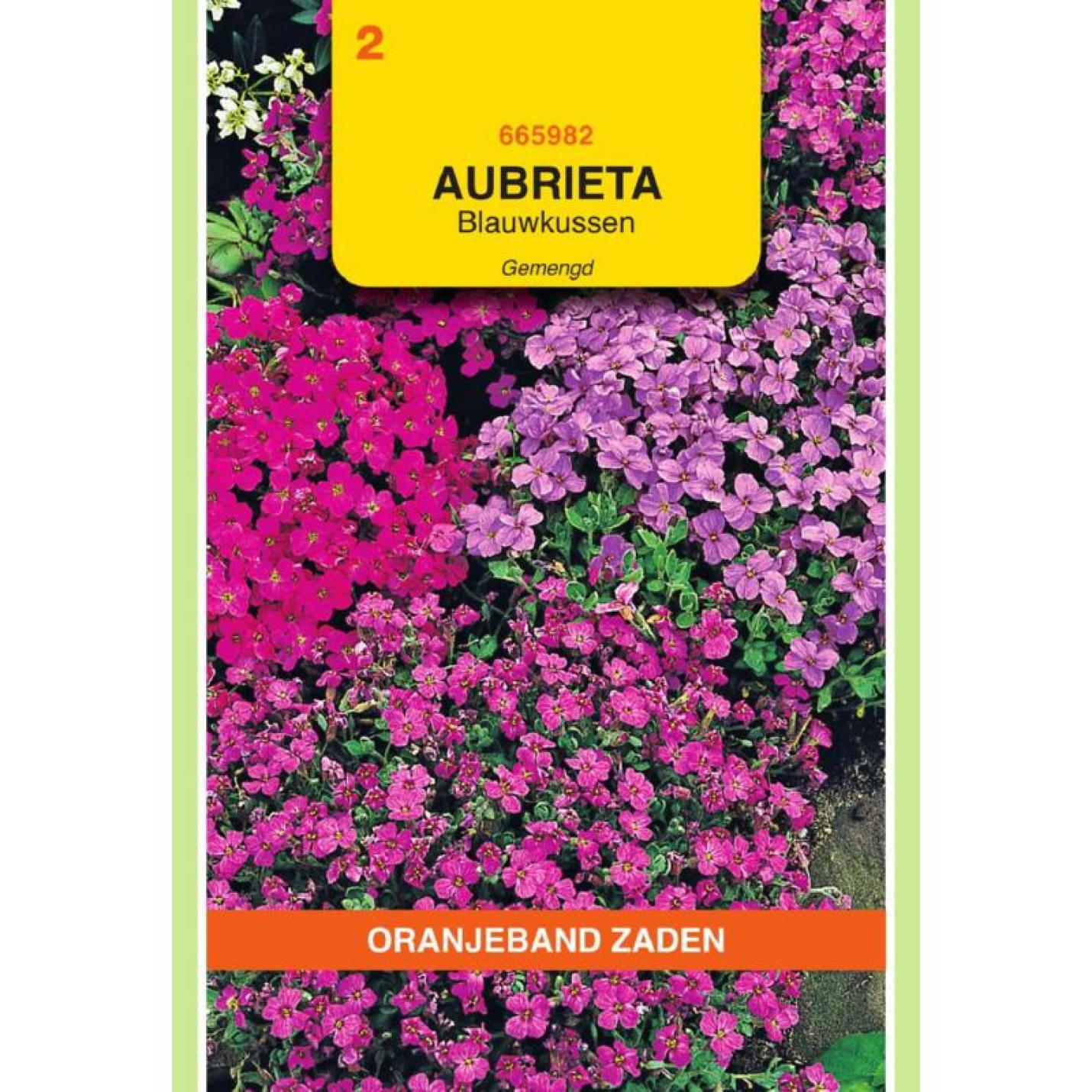 Oranjeband Aubrietia Blauwkussen gemengd