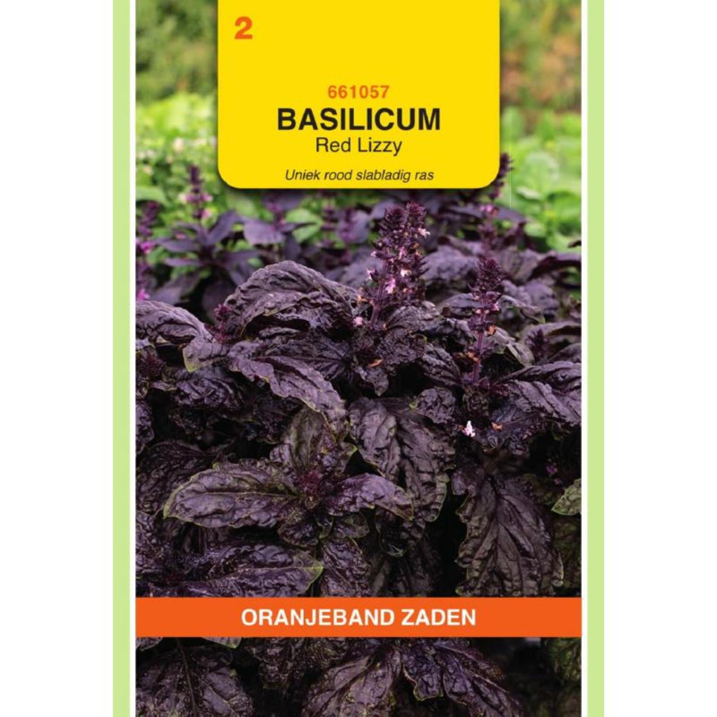 Oranjeband Basilicum Rode slabladige Red Lizzy