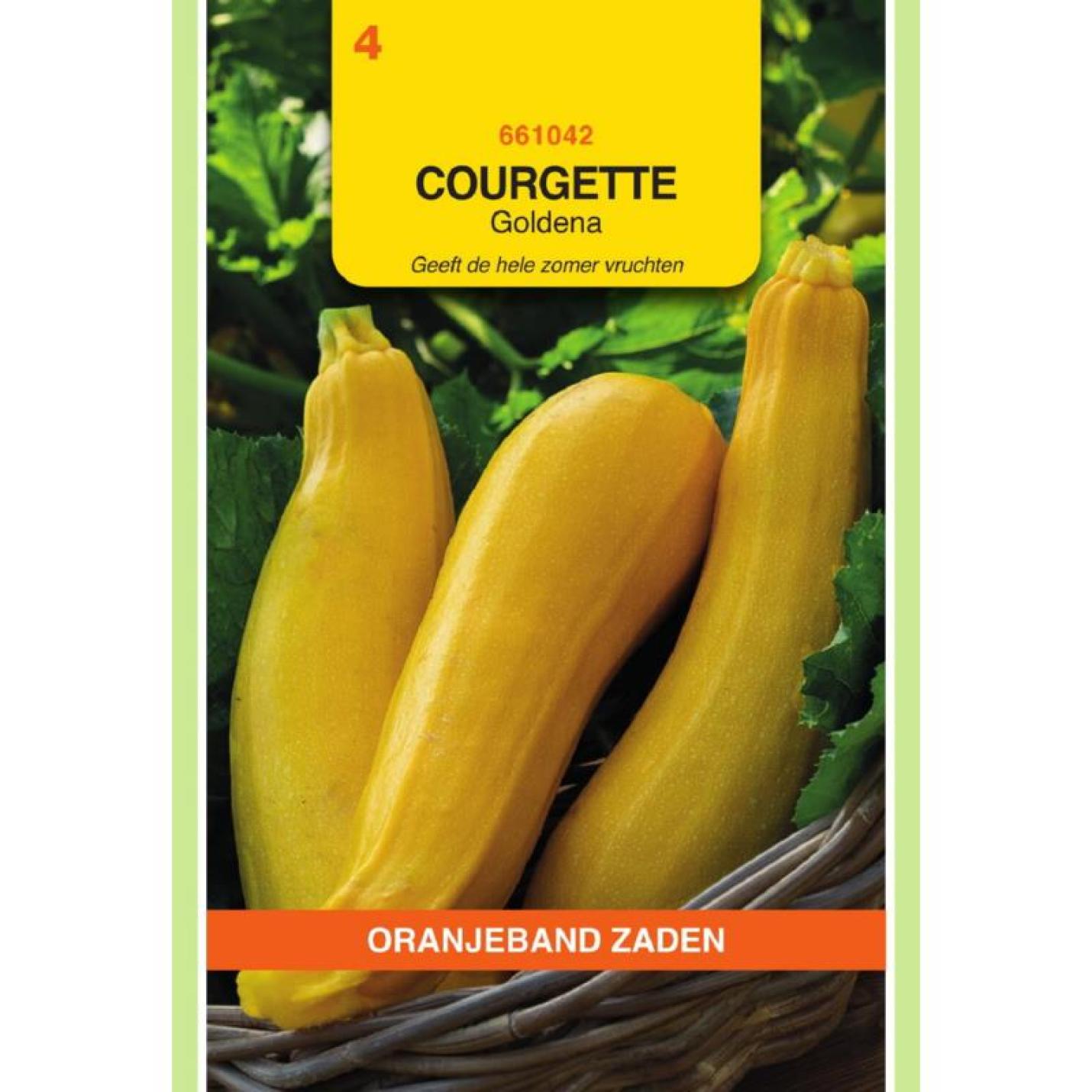 Oranjeband Courgette Goldena
