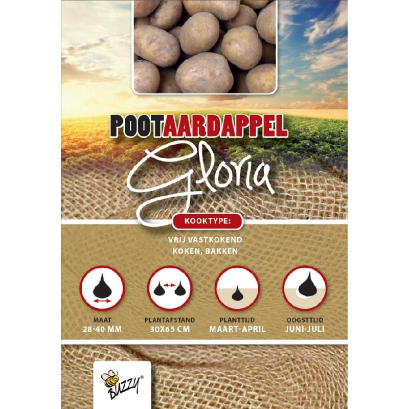 Pootaardappel Gloria 2,5 Kg
