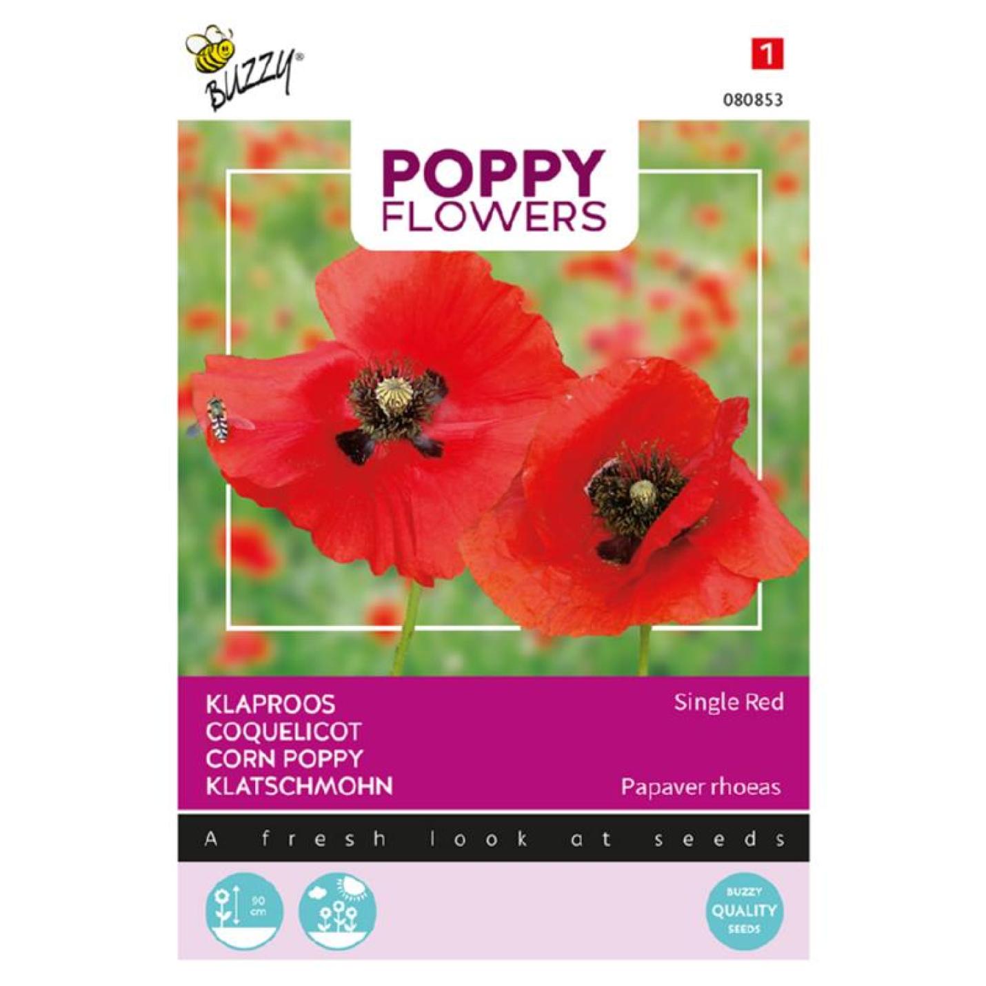Buzzy® Poppy Flowers Klaproos Rhoeas Rood