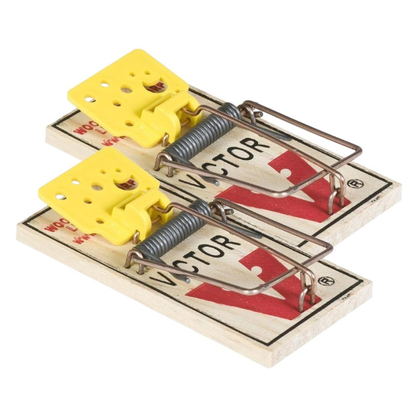 Protect Home Muizenval Hout - 2 stuks