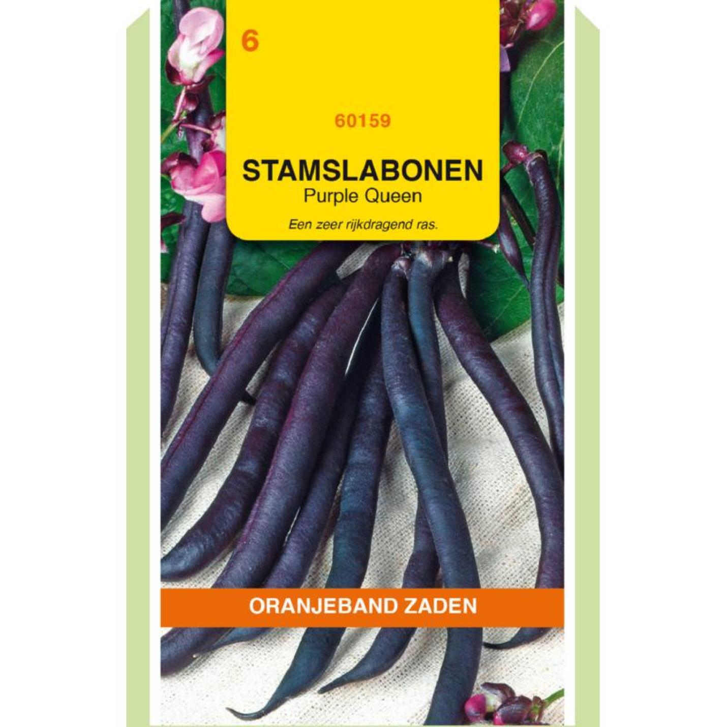 Oranjeband Stamslabonen Purple Queen - 100gram