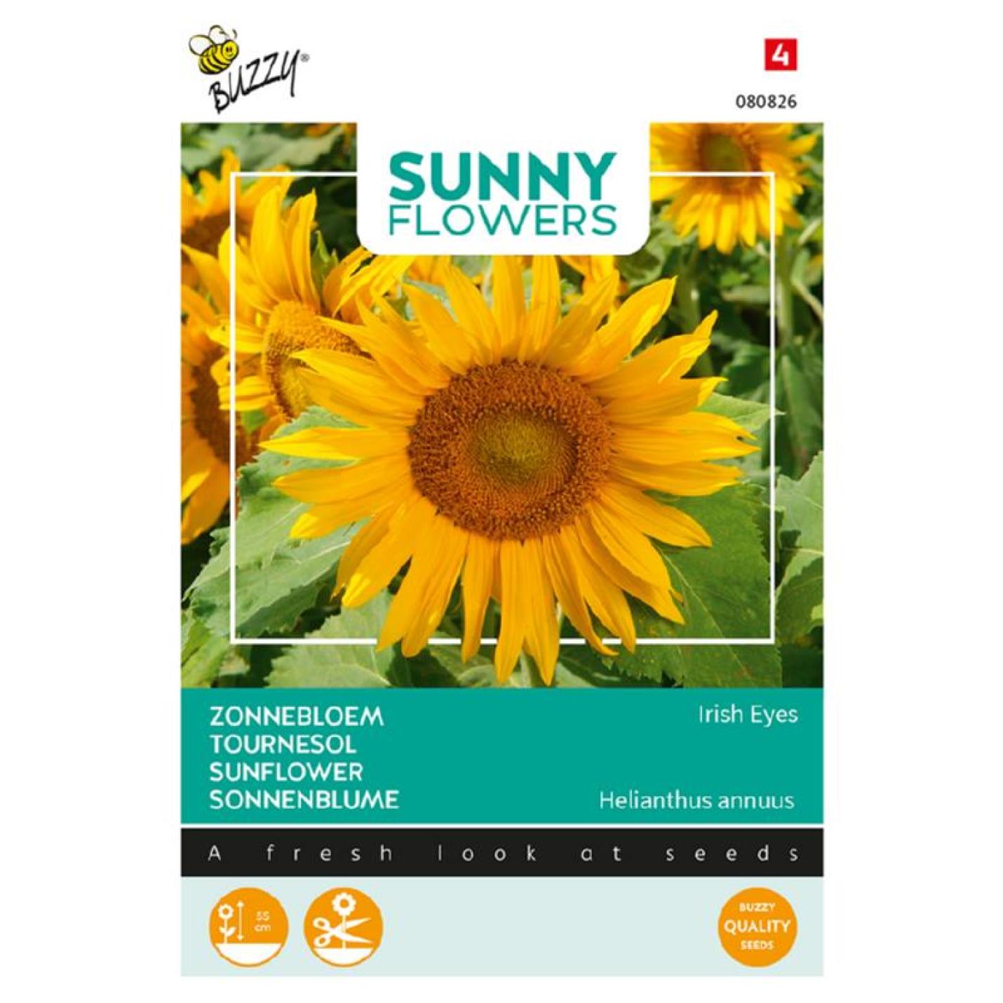 Buzzy® Sunny Flowers, Zonnebloem Irish Eyes