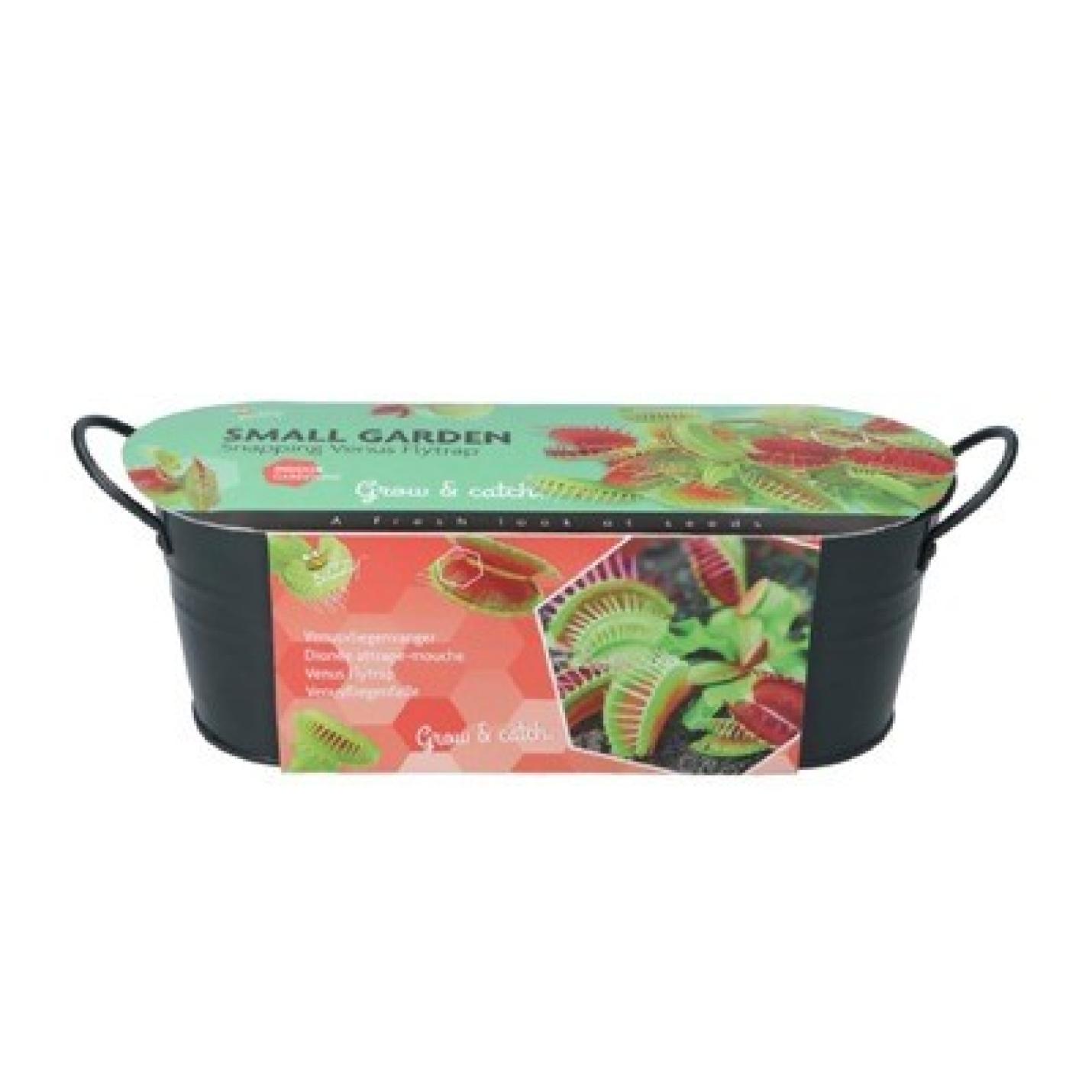 Buzzy® Small Garden Venus Fly Trap teiltje