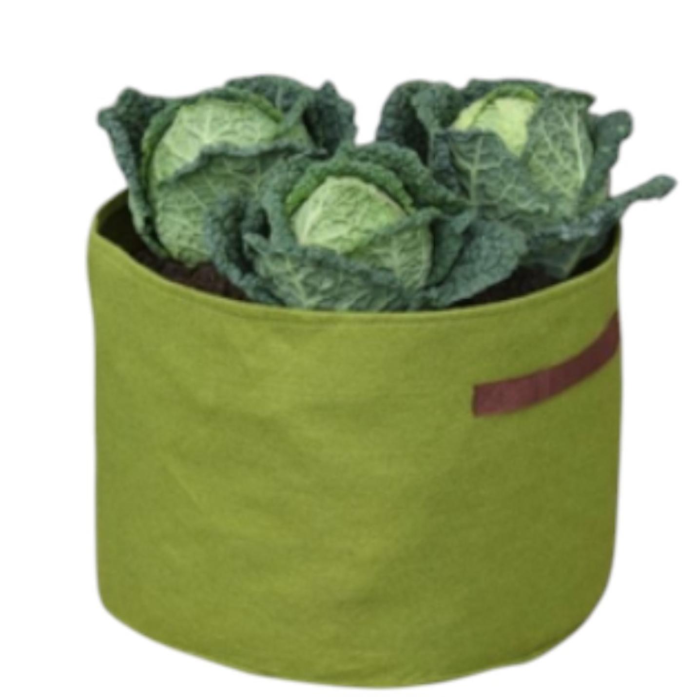 Vigoroot Groente Plantzak 37 liter
