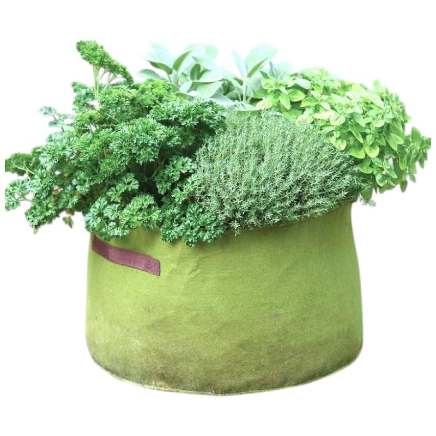 Vigoroot Kruiden Plantzak 40 liter