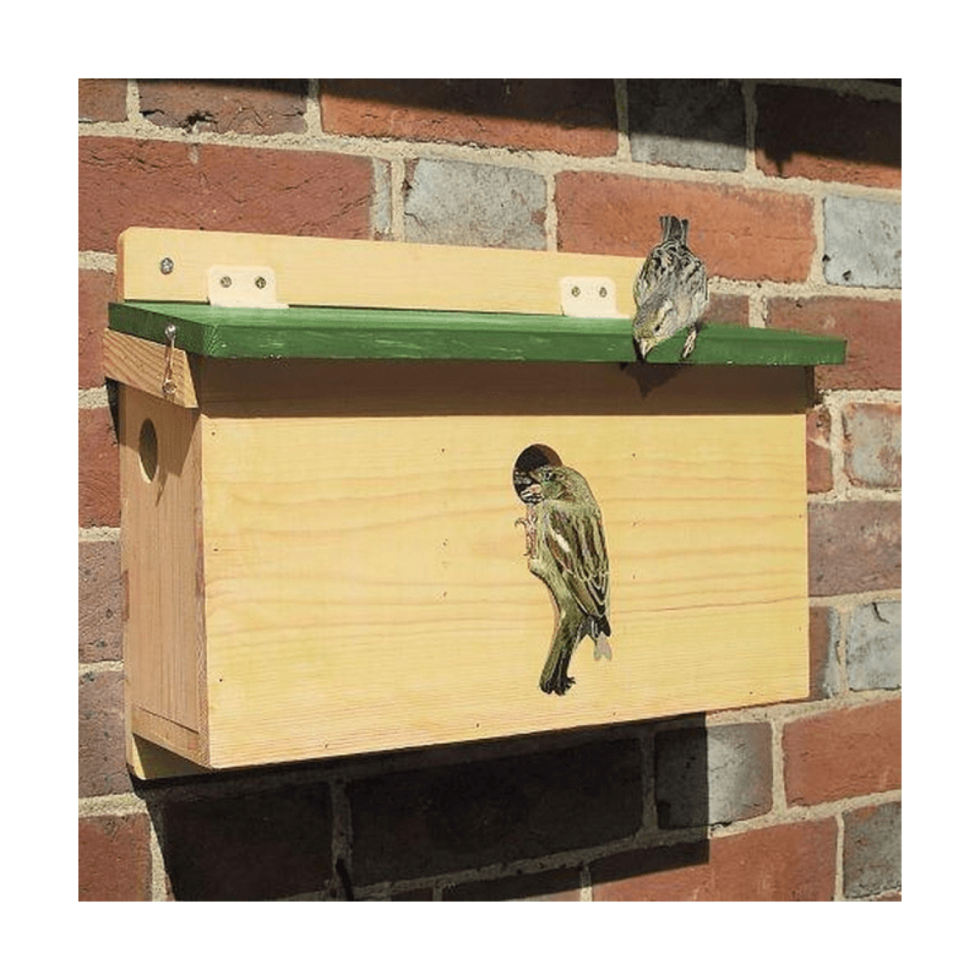Vogelbescherming Nederland Nestkast Mussenstraat