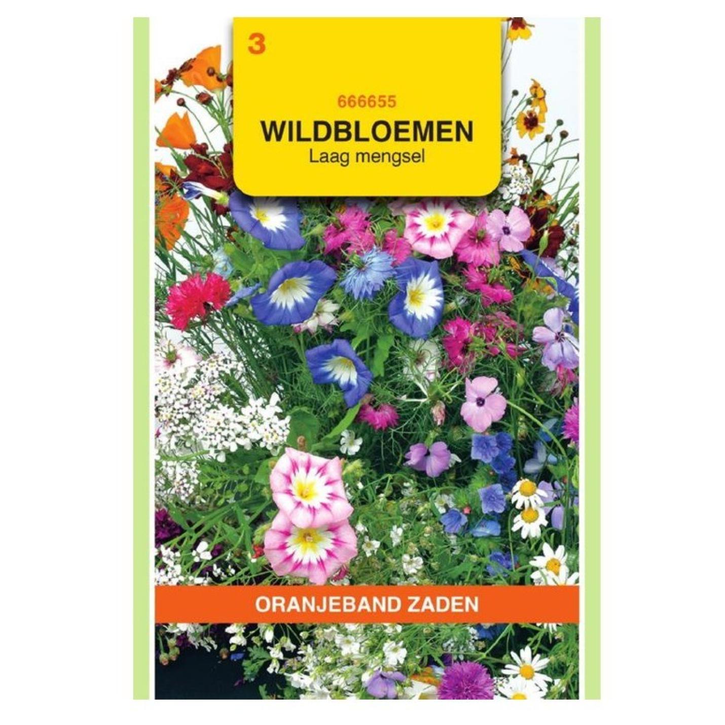 OranjeBand Wildbloemen mengsel eenjarig, laag