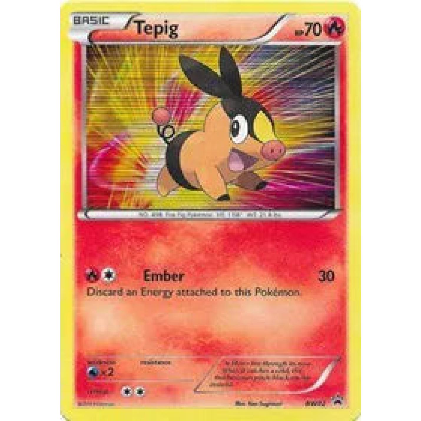 Tepig BW02 - Black and White Promos - Holofoil