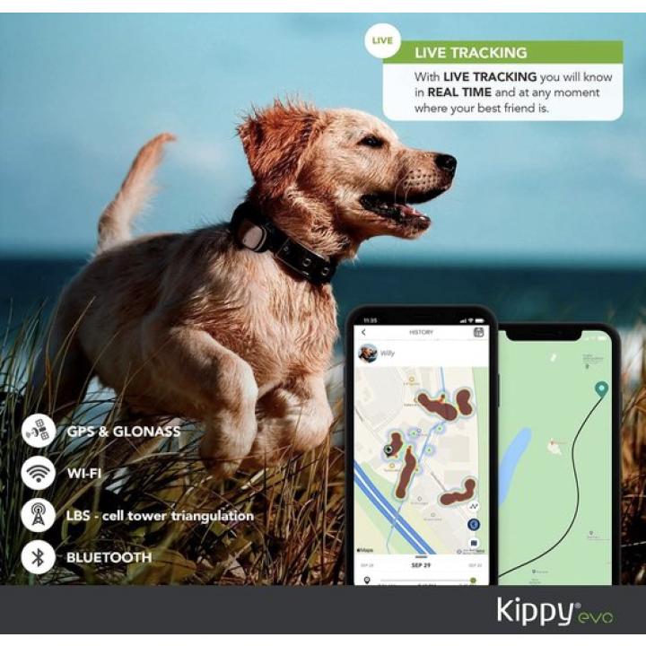 Kippy - Kippy EVO - De nieuwe GPS-tracker Halsband en Activiteitentracker voor Honden en Katten, 38 gr, Waterdicht, 10 dagen Batterij, Bosgroen