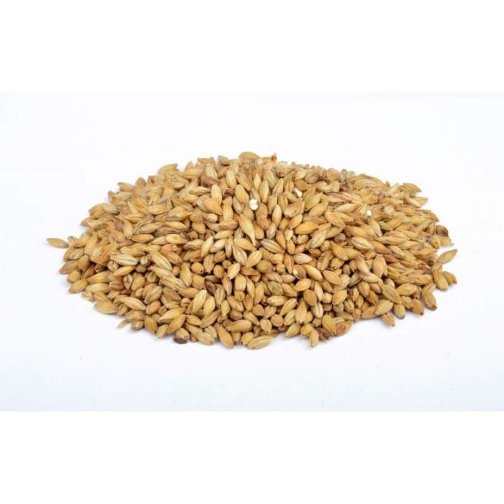 Biscuit mout Castle Malting 45-55 Ebc 25 Kg