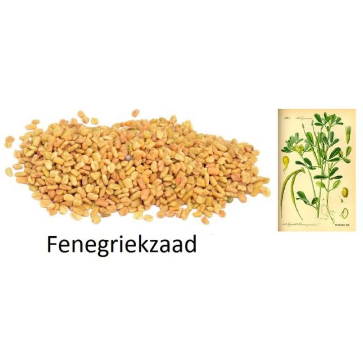 Fenegriekzaad 50 G tht 27-3-23