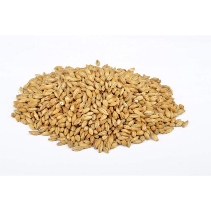 Pilsmout Castle Malting 2 rowe 3,0-3,5 EBC 1 Kg