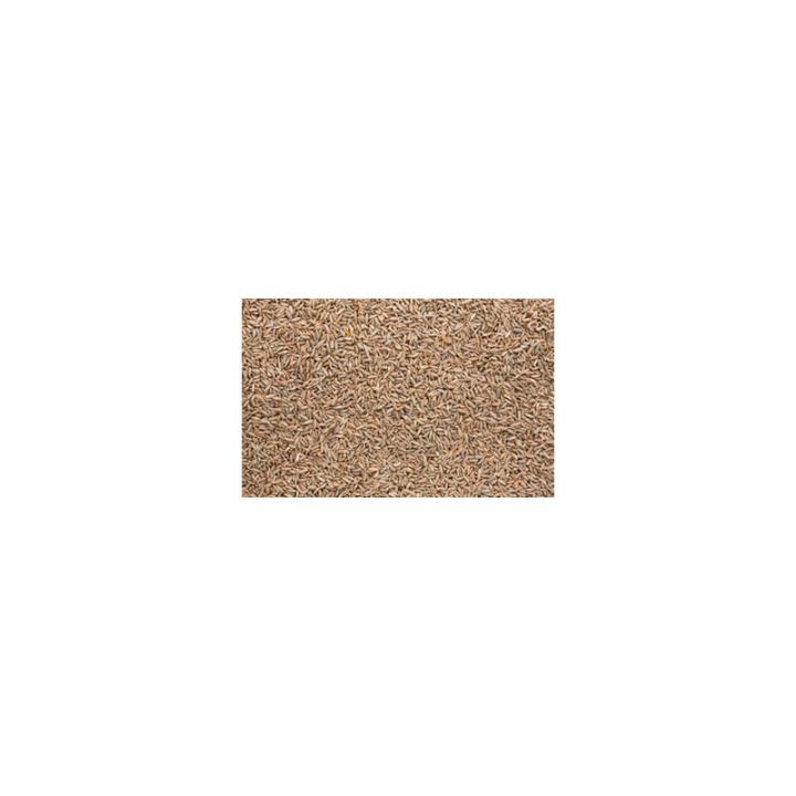 Rogge (Rye) mout the Swaen 4.0 EBC 5kg