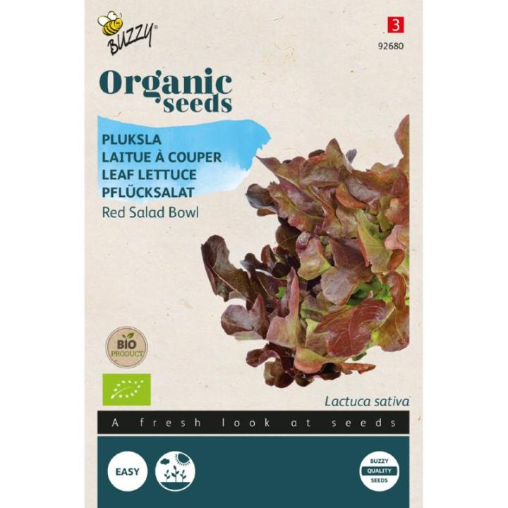 Buzzy® Organic Pluksla Red Salad Bowl zaden(BIO)