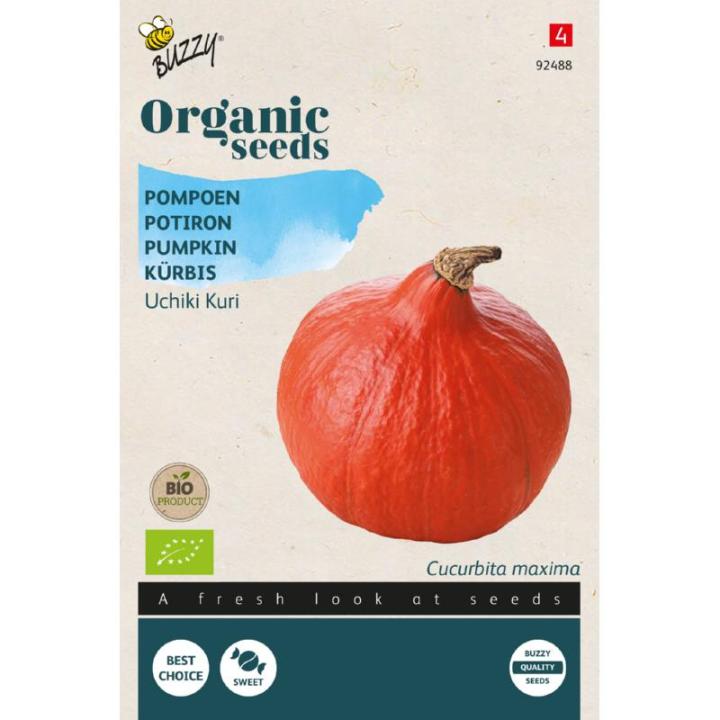 Buzzy® Organic Pompoen Uchiki Kuri zaden (BIO)