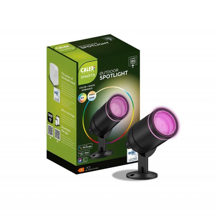 Tuinverlichting | Calex Smart Outdoor Grondspot RGB 4W 380lm
