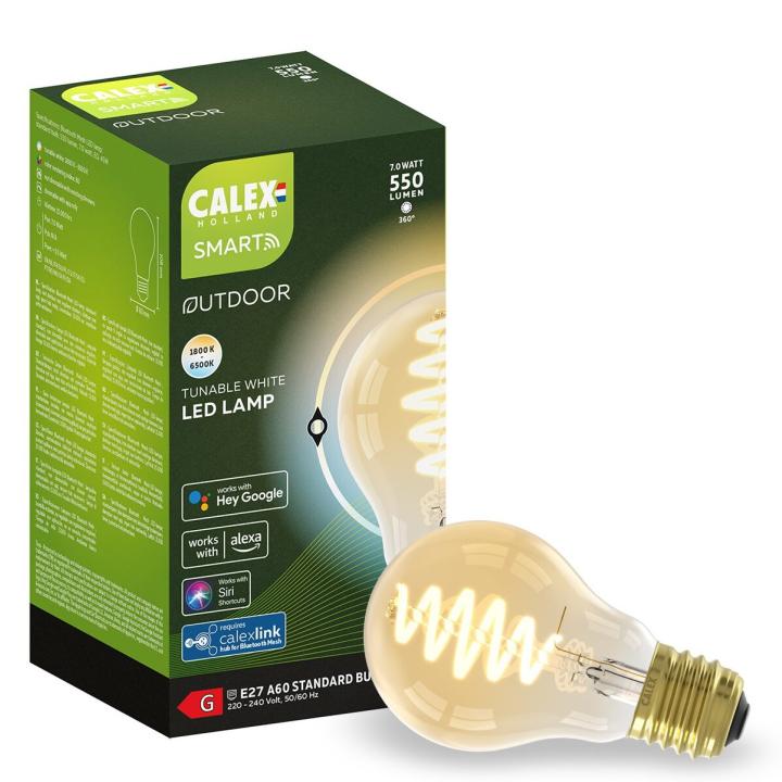 Tuinverlichting | Calex Outdoor Smart E27 gold led lamp 7W 550lm 1800-6500K