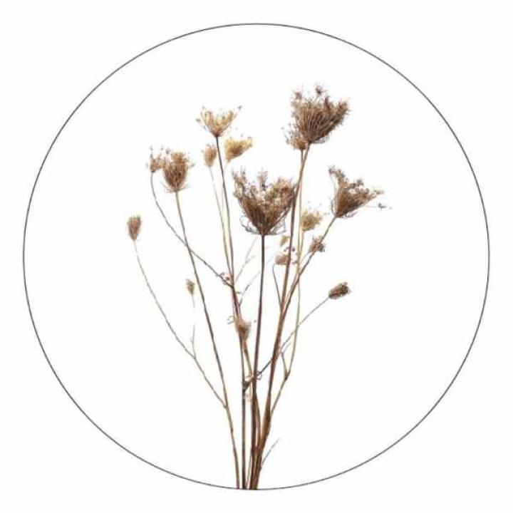 Zoedt Muurcirkel Gedroogde bloemen - 40 cm