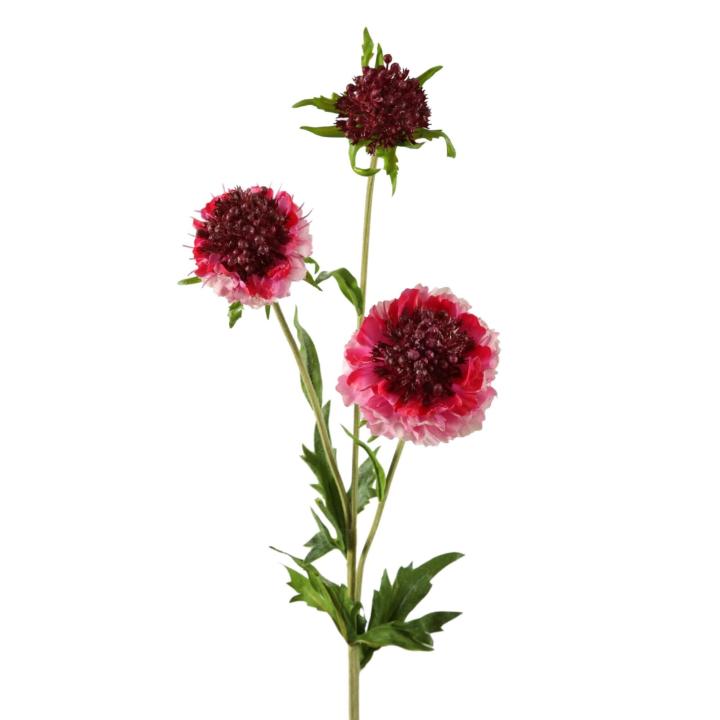 Zijden Scabiose roze