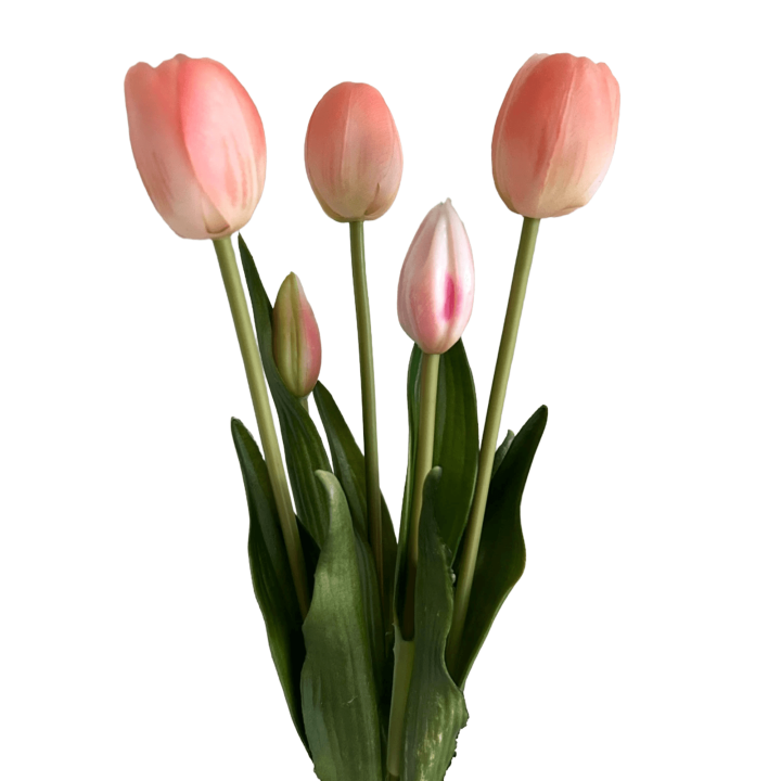 Tulpen bundel met 5 tulpen roze/peach