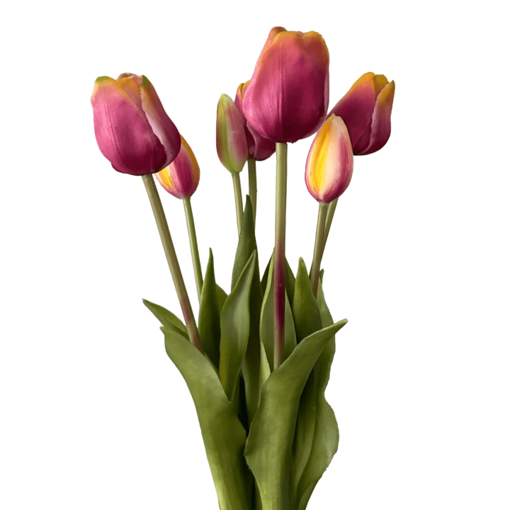 Tulpen bundel met 7 tulpen pastel paars/geel
