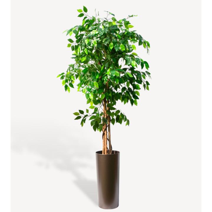 Ficus Benjamina Kunstplant - 160 cm
