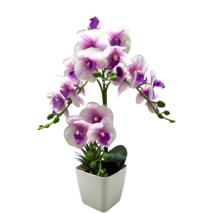 Orchidee Kunstbloem Wit Roze 55 cm